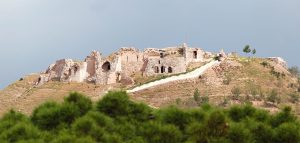 Polateli Marka Tescili